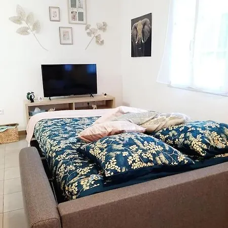 Appartamento Proche Aéroport à Pied O' Jungle Tillé