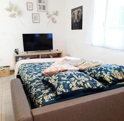 Apartament Aeroport A Pied La Signature Dore Tillé