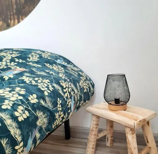 Apartament Aeroport A Pied La Signature Dore