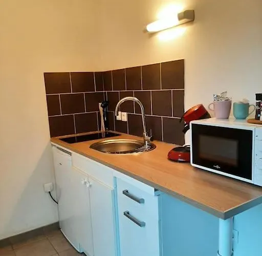 Aeroport A Pied La Signature Dore Apartament