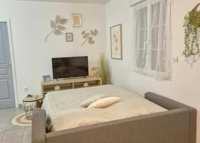 Aeroport A Pied La Signature Dore * Tillé